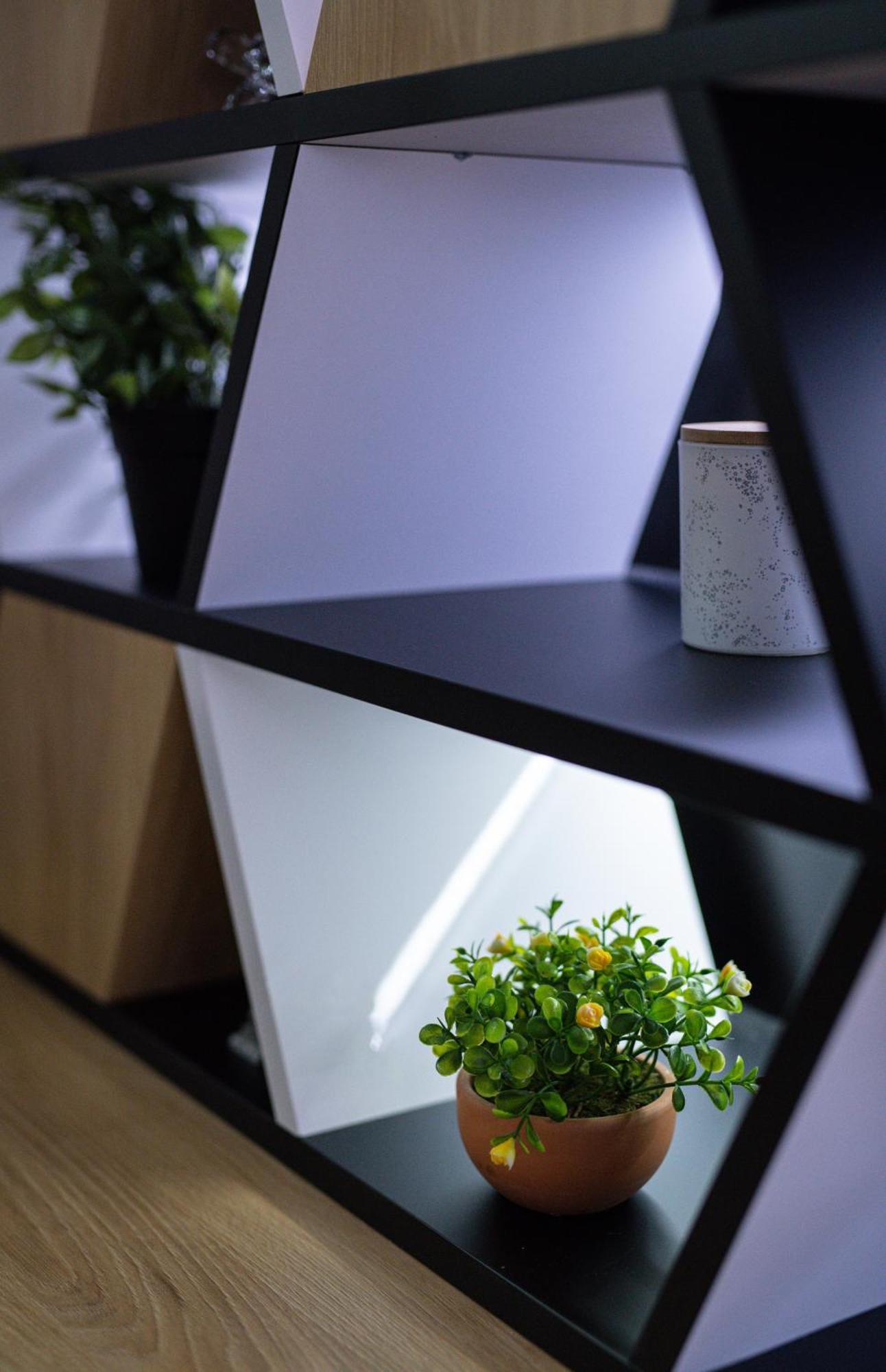 Lux Jefimija Apartment Valjevo Bilik gambar